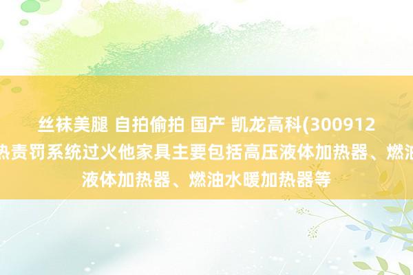 丝袜美腿 自拍偷拍 国产 凯龙高科(300912.SZ)：新能源热责罚系统过火他家具主要包括高压液体加热器、燃油水暖加热器等