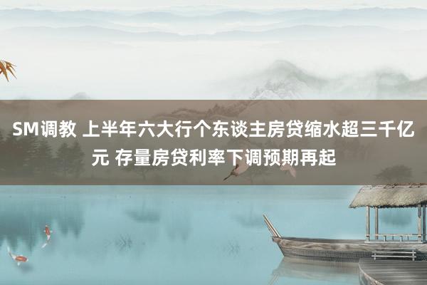 SM调教 上半年六大行个东谈主房贷缩水超三千亿元 存量房贷利率下调预期再起