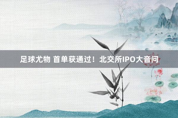 足球尤物 首单获通过！北交所IPO大音问