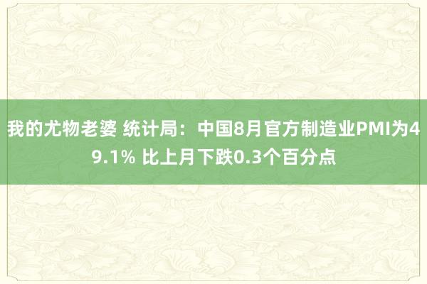 我的尤物老婆 统计局：中国8月官方制造业PMI为49.1% 比上月下跌0.3个百分点