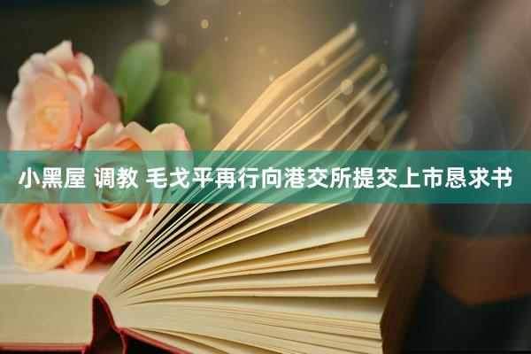 小黑屋 调教 毛戈平再行向港交所提交上市恳求书