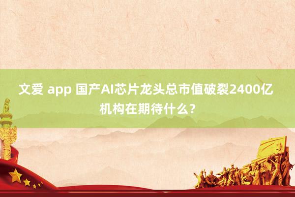 文爱 app 国产AI芯片龙头总市值破裂2400亿 机构在期待什么？
