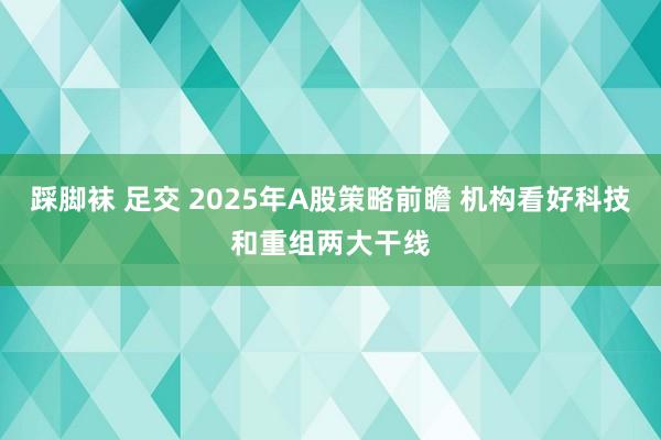踩脚袜 足交 2025年A股策略前瞻 机构看好科技和重组两大干线