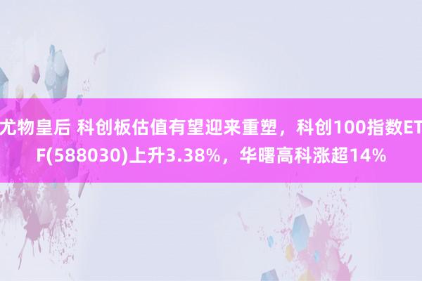 尤物皇后 科创板估值有望迎来重塑，科创100指数ETF(588030)上升3.38%，华曙高科涨超14%