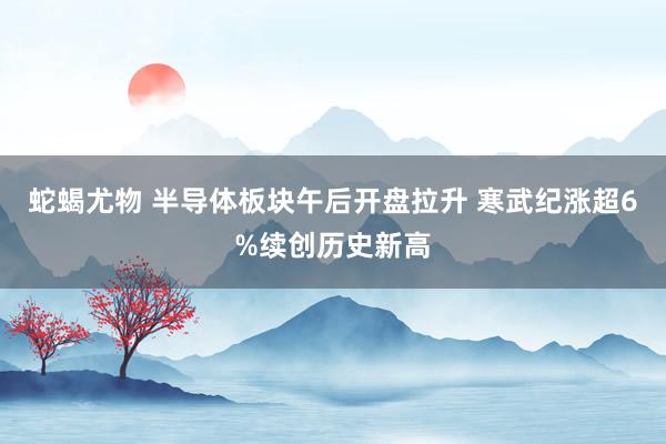 蛇蝎尤物 半导体板块午后开盘拉升 寒武纪涨超6%续创历史新高
