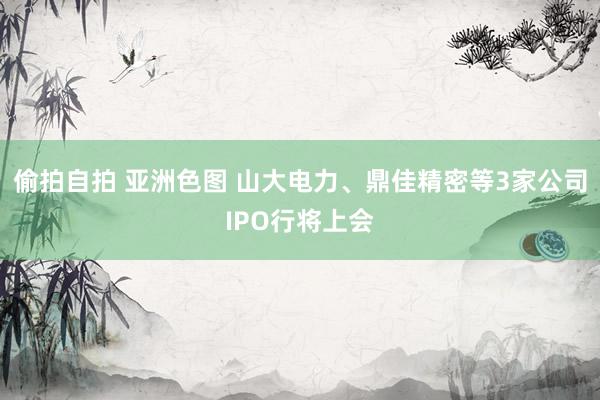 偷拍自拍 亚洲色图 山大电力、鼎佳精密等3家公司IPO行将上会
